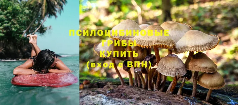 Псилоцибиновые грибы Magic Shrooms  kraken ТОР  Кириллов 